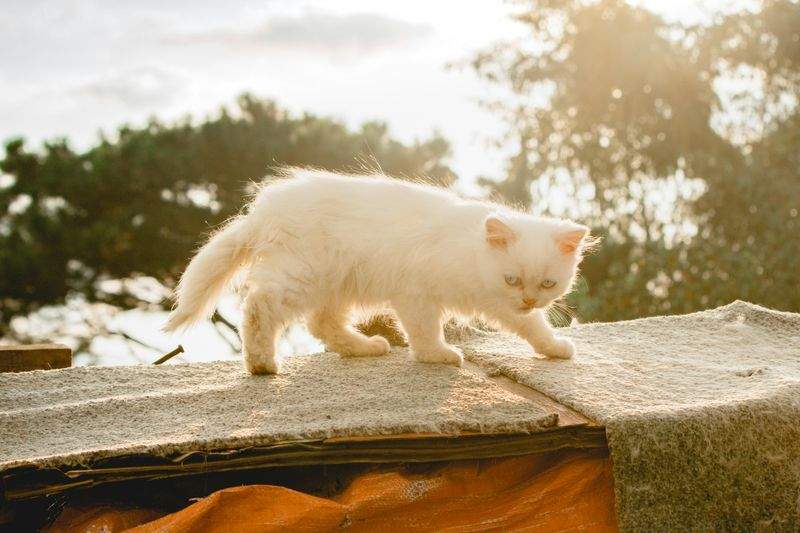 クリーンマスター株式会社 - Image 13